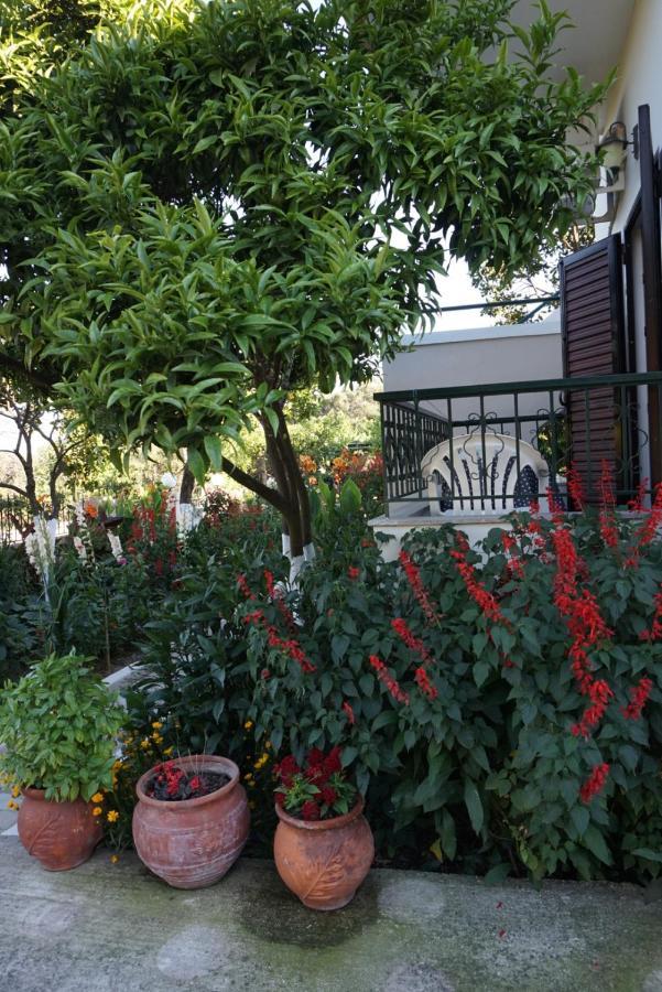 Villa Nikolaou ปาร์กา ภายนอก รูปภาพ