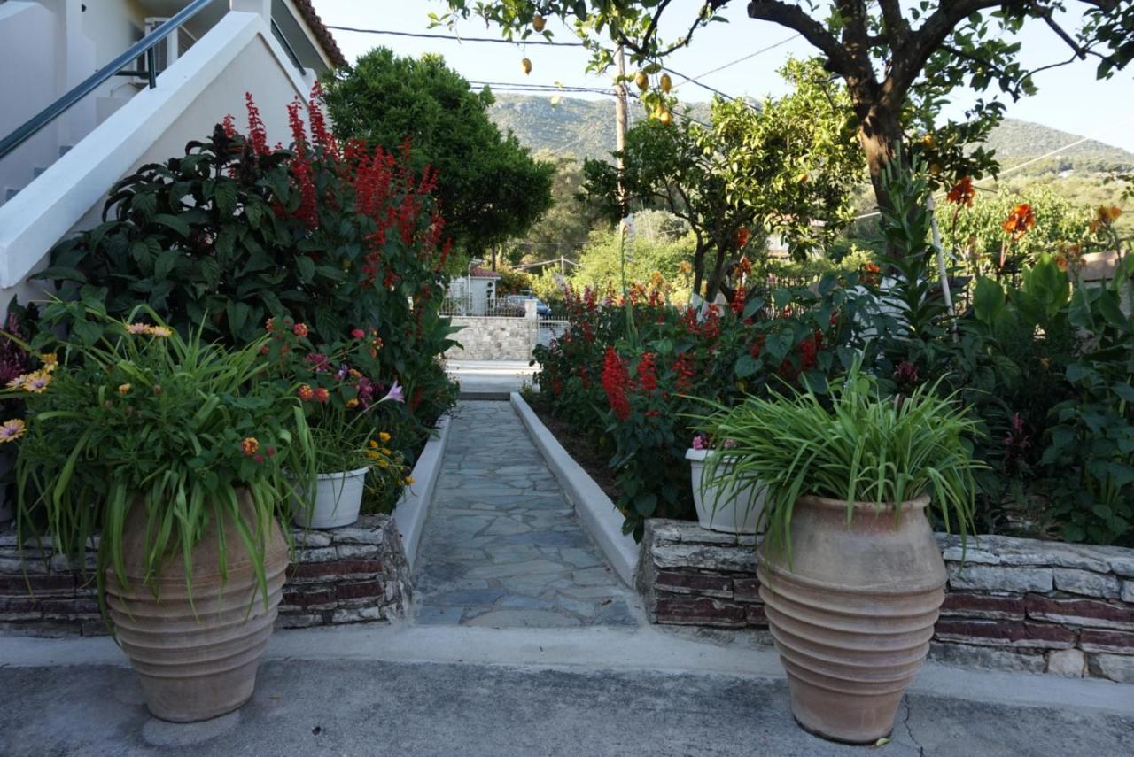 Villa Nikolaou ปาร์กา ภายนอก รูปภาพ