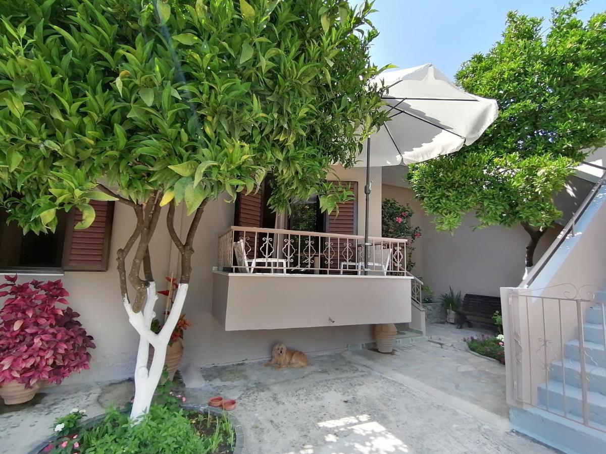 Villa Nikolaou ปาร์กา ภายนอก รูปภาพ