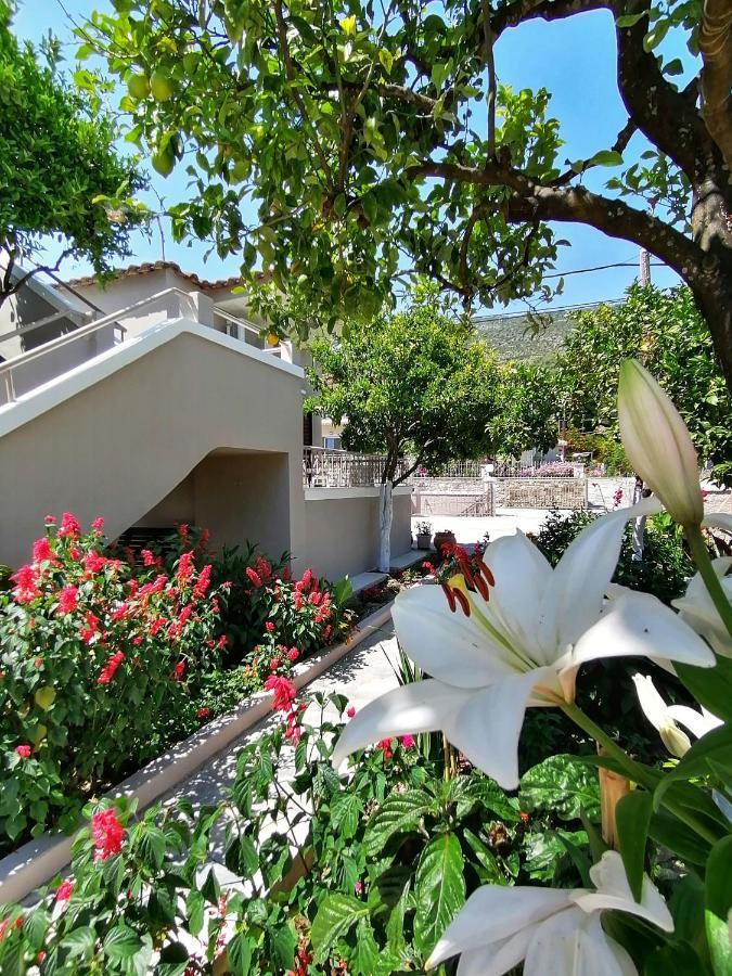 Villa Nikolaou ปาร์กา ภายนอก รูปภาพ